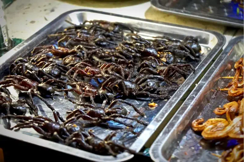 Eat a spider in Cambodia