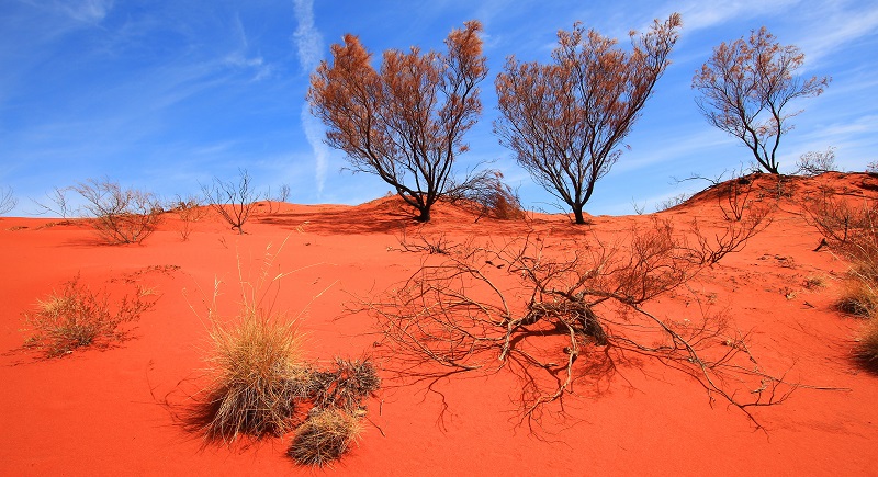 Big Red Sand Dune - Outback Road Trips
