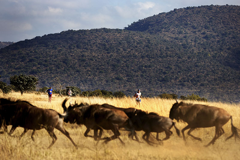 Big 5 Marathon, South Africa