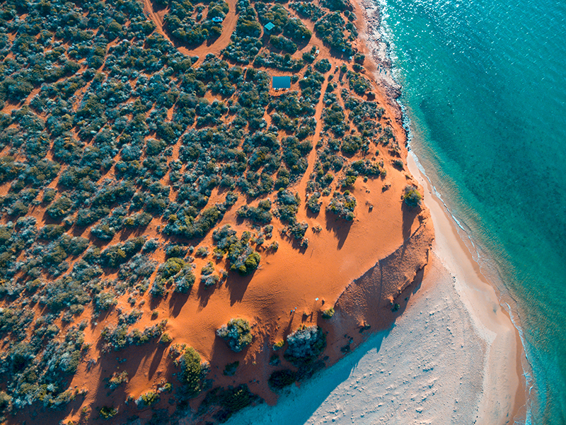 Shark Bay, WA