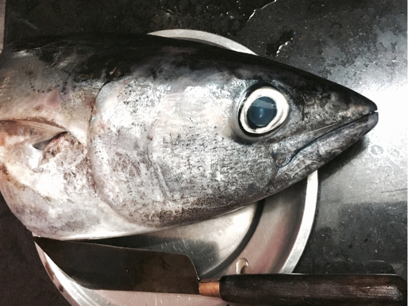 Eat a tuna eye in Tokyo