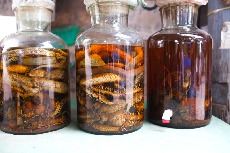 Taste snake wine in Vietnam