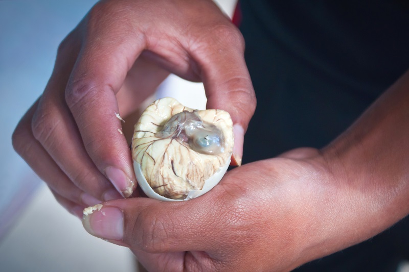 Try Balut egg in the Philippines