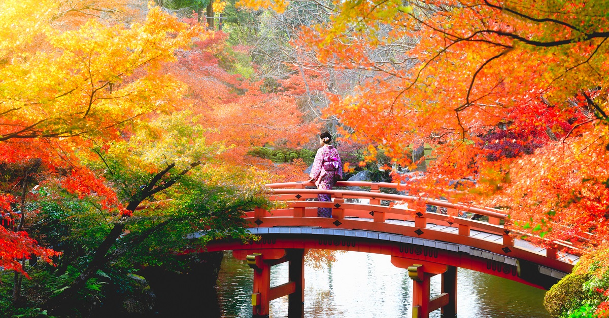 Autumn leaves in Japan