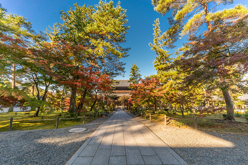 Autumn leaves, Kyoto, Japan