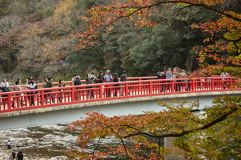 Autumn leaves, Korankei, Nagoya, Japan