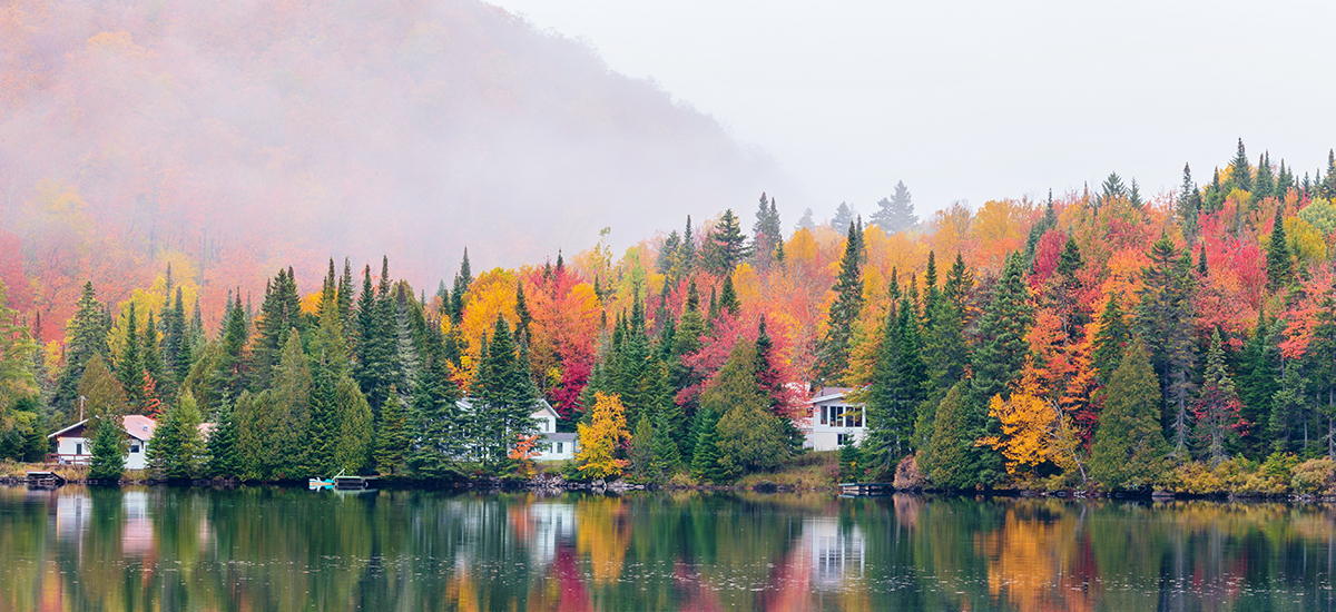 Autumn Leaves, best fall foliage