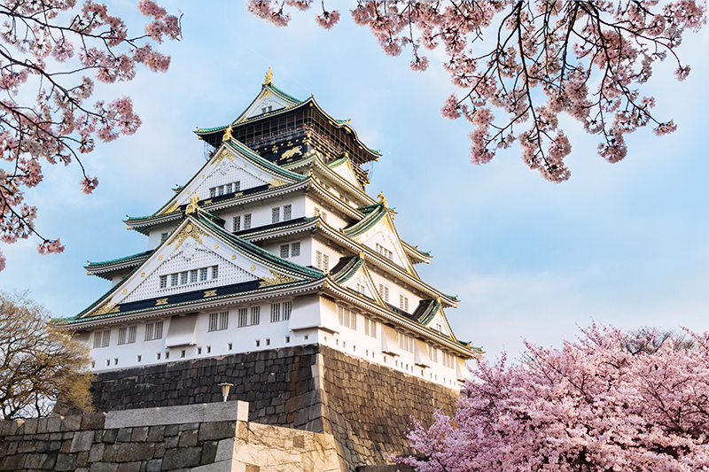 Osaka castle with cherry blossom