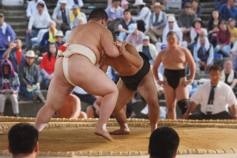 Student sumo wrestler