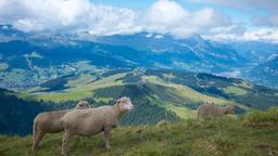 Megève Hotels