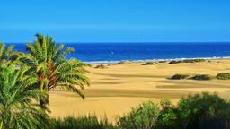 Maspalomas car rentals