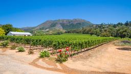 Plettenberg Bay hotel directory