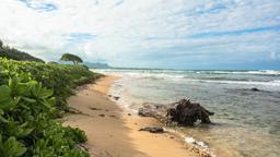 Lihue car rentals