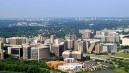 Arlington car rentals