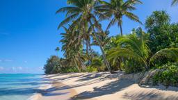Find cheap flights from Wellington to Cook Islands