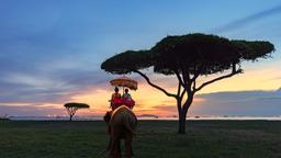 Phuket City Convertible Car Rentals