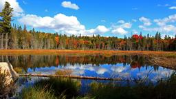 Algonquin Provincial Park hotels