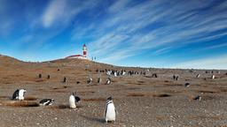 Punta Arenas car rentals