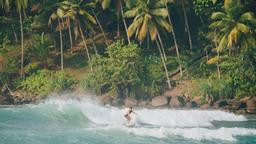 Mirissa hotel directory