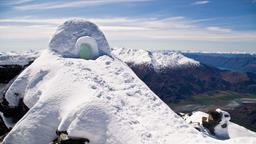 Find cheap flights from St. Louis to New Zealand