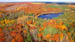 Find cheap flights from Auckland to Michigan