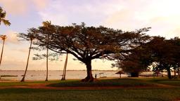 Find cheap flights from Auckland to Abidjan