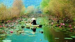 Find cheap flights from Wellington to Vietnam