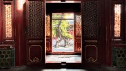 Find cheap flights from Christchurch to Beijing