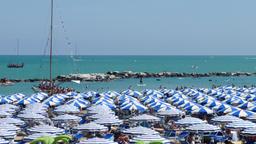 Cattolica hotel directory