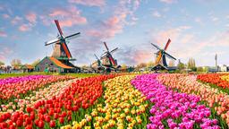 Find cheap flights to North Holland
