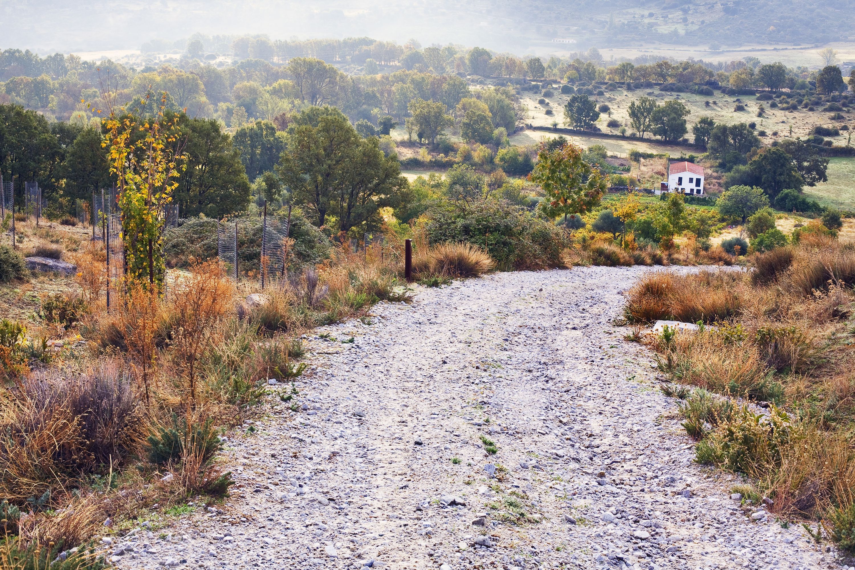 Las Rozas car rentals