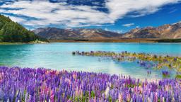 Find cheap flights from Nairobi Jomo Kenyatta Intl to New Zealand