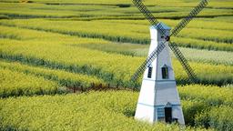 Find cheap flights from Dunedin to China