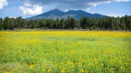 Flagstaff car rentals