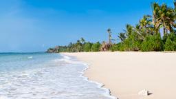 Find cheap flights from Auckland to Kenya