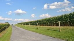 Find cheap flights from Auckland to Pennsylvania