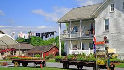 Find cheap flights from Queenstown to Pennsylvania