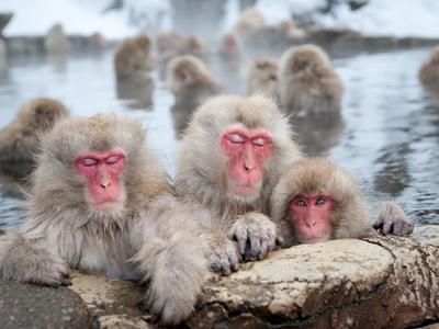 Nozawa Onsen