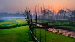 Assam hotels