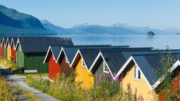 Find cheap flights from Auckland to Norway
