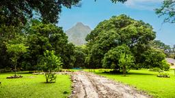 Find cheap flights to Panama