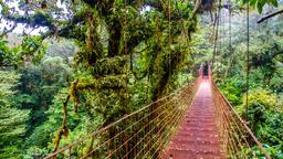 Central America car hire
