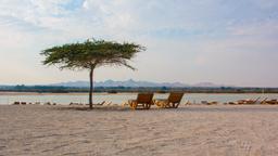 Find cheap flights from Whangarei to the United Arab Emirates