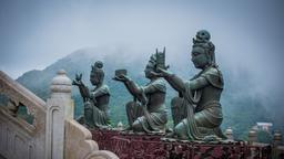 Find cheap flights from Wellington to Hong Kong