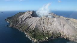 Whakatane Luxury Car Rentals