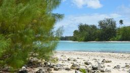 Find cheap flights to Cook Islands