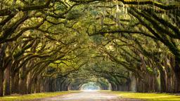Savannah car rentals