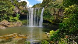 Kerikeri Ute Rentals