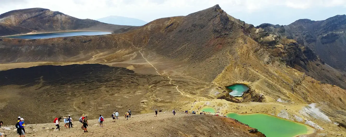 Find cheap flights to these geeky destinations