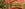 preload